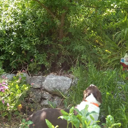 Kalivaki Stone *